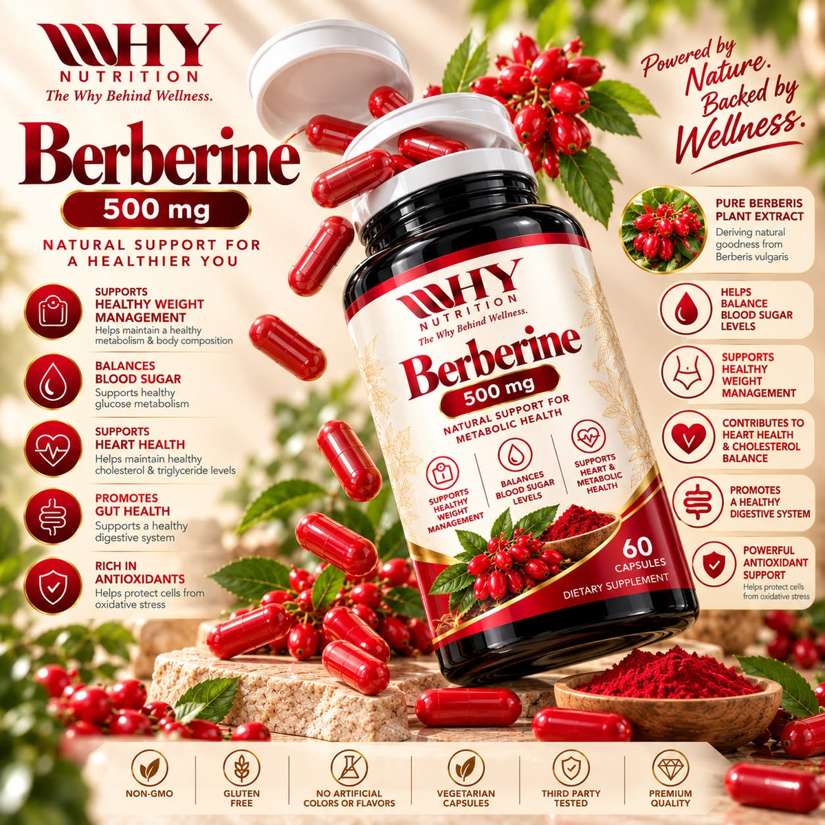 Berberine 500 mg